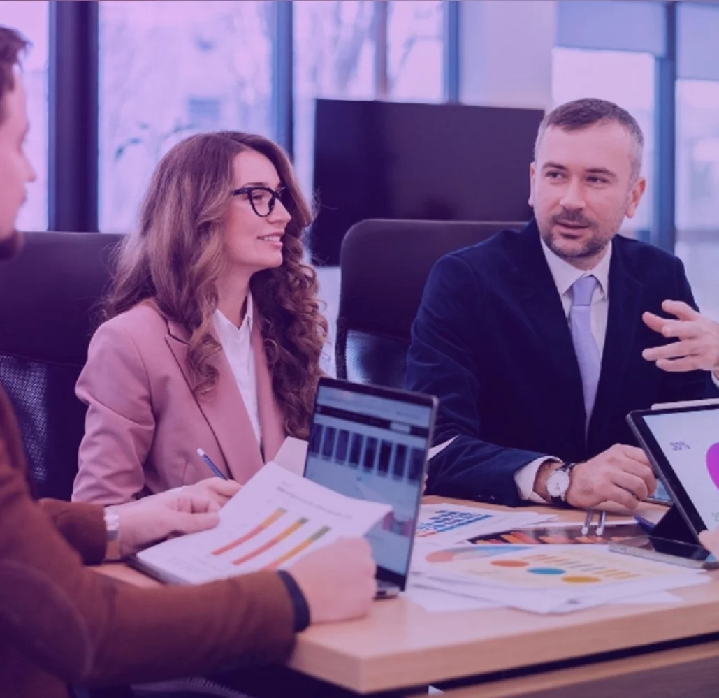 consulting services
