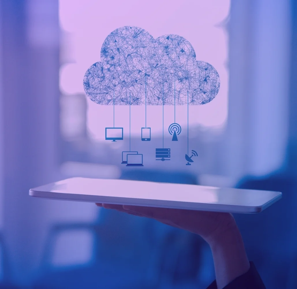 migration services